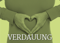 verdauung